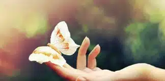 Devemos exercitar o desapego, não o desamor