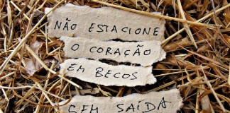 Regulamento (Aos praticantes do sonho), por Heduardo Kiesse