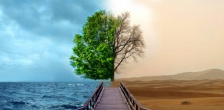 Este poema deve ser lido duas vezes  (entenda o motivo)