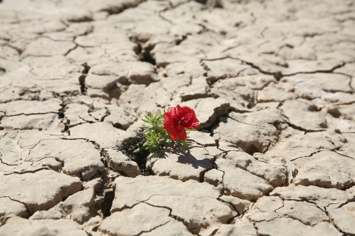 6 modos de aumentar a sua força interior exercitando a resiliência