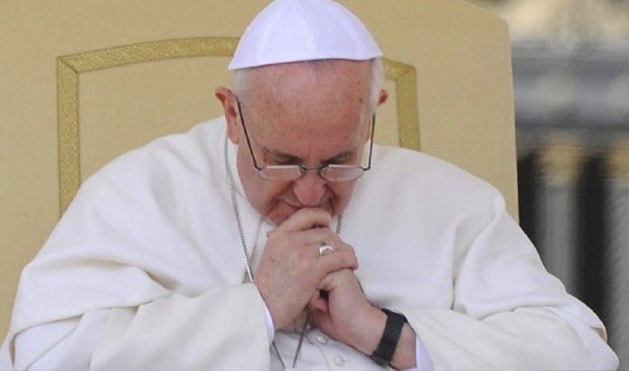Papa Francisco faz apelo: ”Não é digno causar sofrimento aos animais”