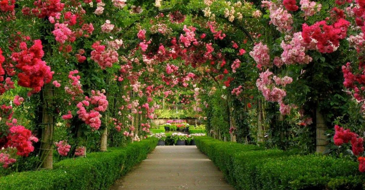 adesivos-decorativos-jardim-paisagem-natureza-painel-5m2-12823-MLB20067172248_032014-F