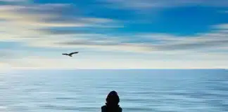 Sobre os vazios que nos habitam