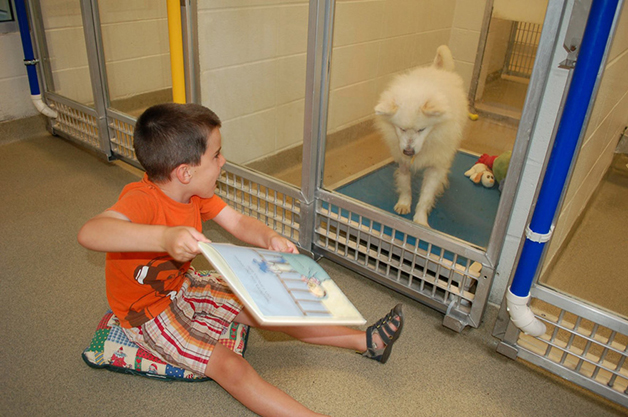 revistapazes.com - Crianças leem para cães que sofreram maus tratos e os ajudam a interagir com humanos