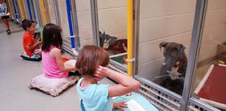 Crianças leem para cães que sofreram maus tratos e os ajudam a interagir com humanos