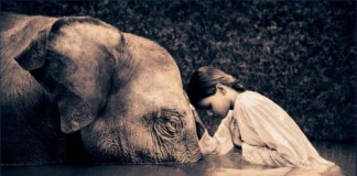 Humildade não é se diminuir, é não se vangloriar