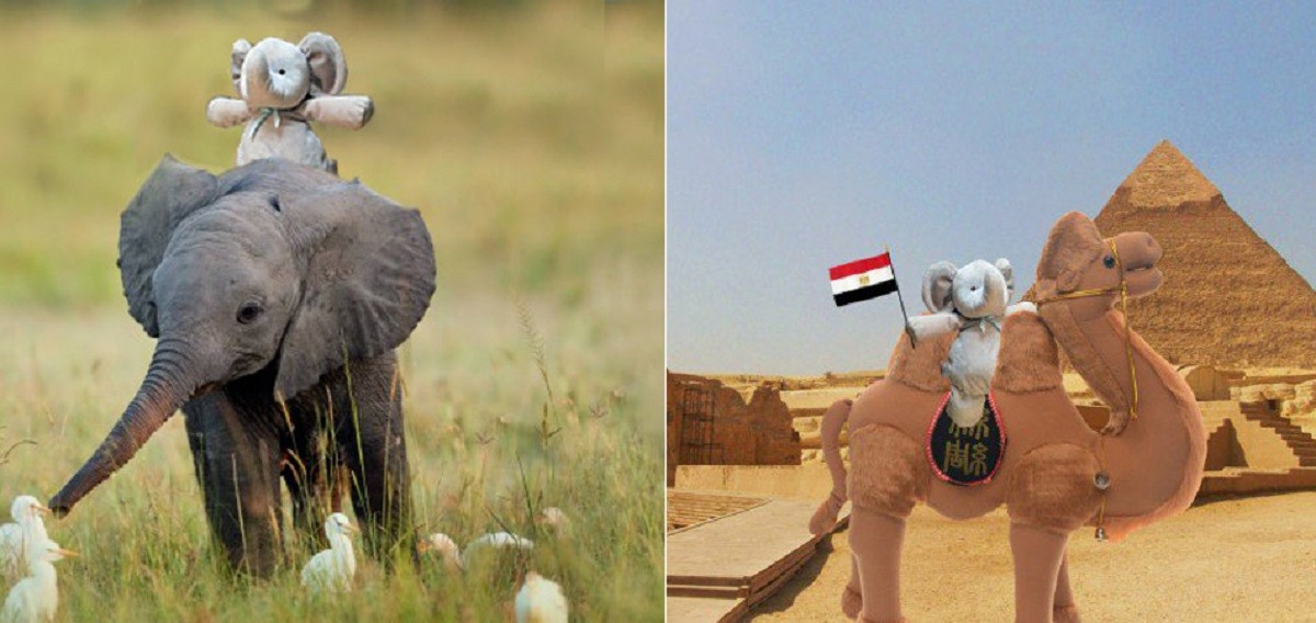 capa_crianca_elefante