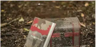 Resenha: A confissão da leoa de Mia Couto
