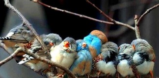 Se a vida lhe dá pessoas maravilhosas, é porque você merece