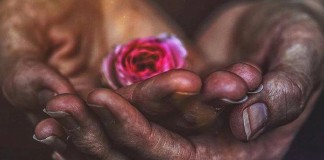 A vida… “O que ela quer da gente é coragem”, por Guimarães Rosa