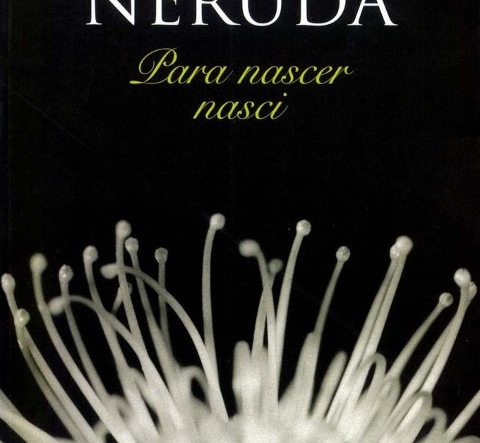 para-nascer-nasci-e1473874262869