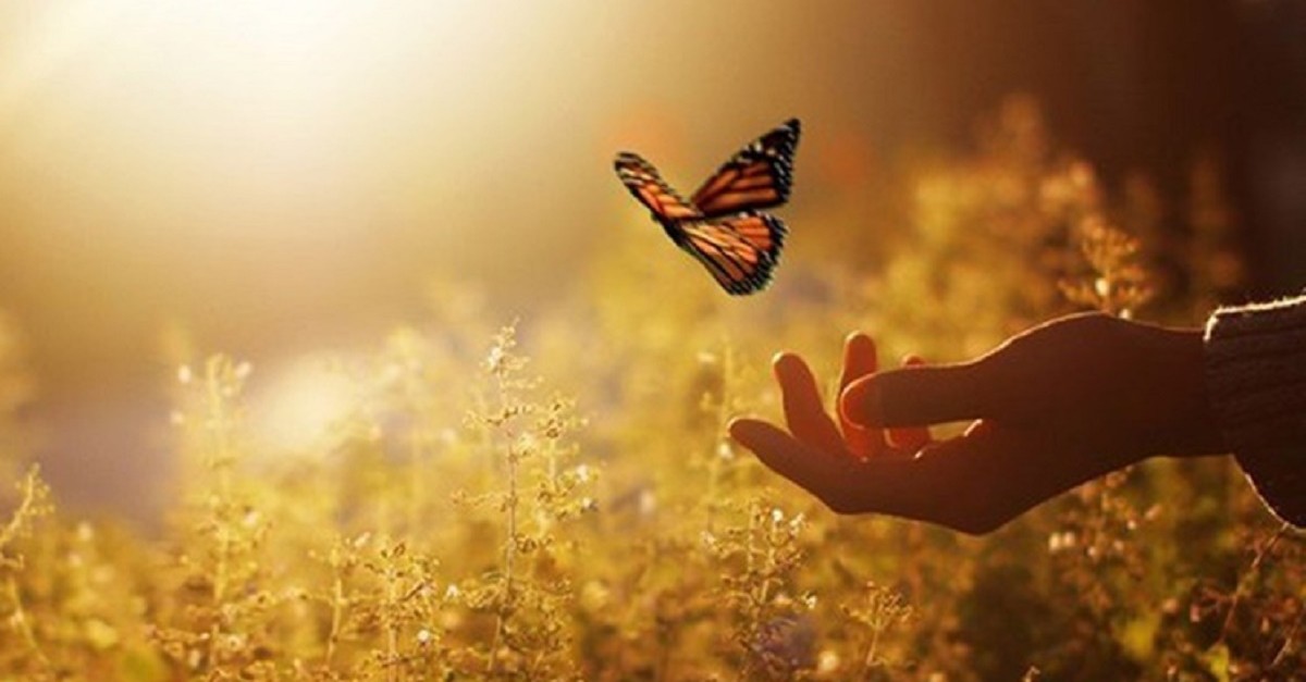 INFINITA-LIBERDADE-FOTO-DE-CAPA-E-FOTO-01