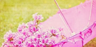 Desencantar é preciso…