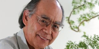 Bullying e o instinto animal