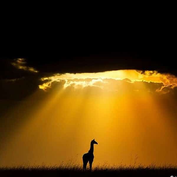 18024361971_0986ffe7be