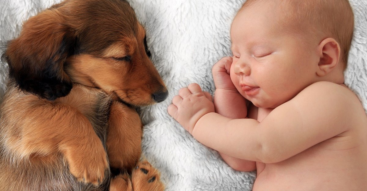 shutterstock_302284688 – 2