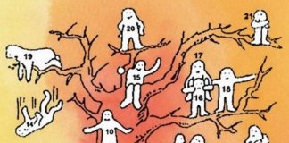 Teste criado por renomado psicólogo: escolha uma pessoa da árvore e descubra qual é seu estado emocional