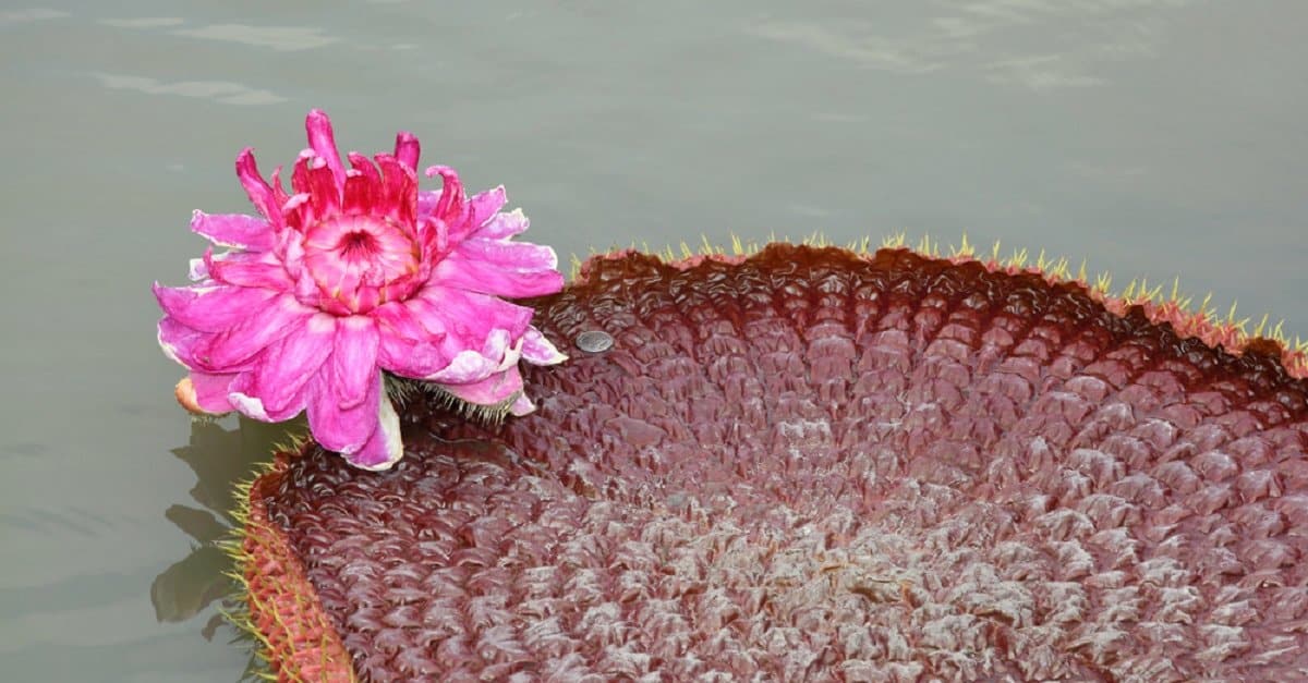 shutterstock_112112246 (1).jpg lenda