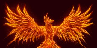 Às vezes você tem que virar cinzas para poder renascer, virar fênix e alçar voos altos…