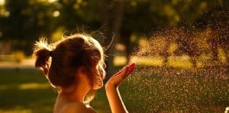 Viva a vida que você escolheu e bata palmas para si mesmo