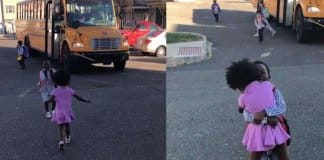 Conheça o ritual do abraço entre estes dois irmãos: pura fofura