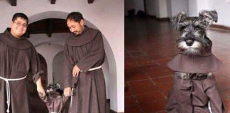 Frades franciscanos adotam um cachorrinho abandonado: o resultado é só amor