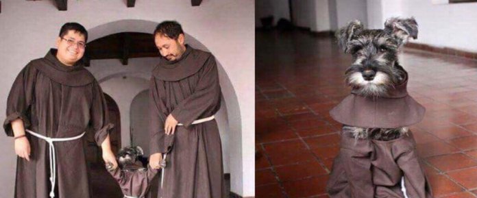 Frades franciscanos adotam um cachorrinho abandonado: o resultado é só amor