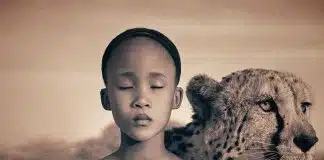 7 dicas para não absorver a “energia negativa” de outras pessoas