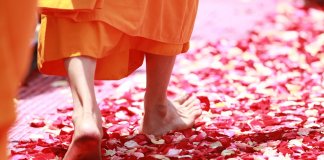 “Não há dor que justifique a fuga”, texto de Hermann Hesse