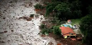 “Meus olhos estão cansados de morrer” por Nara Rúbia Ribeiro