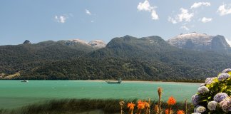 Deixe de ser um copo. Torne-se um lago!