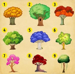 revistapazes.com - Escolha uma árvore e descubra as mudanças que você deve esperar