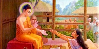 “A semente da mostarda” – conheça este magnífico conto budista sobre a mais dolorosa das perdas