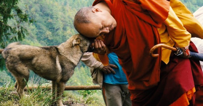 Por que as pessoas gritam quando estão com raiva? Leia esta belíssima história tibetana.