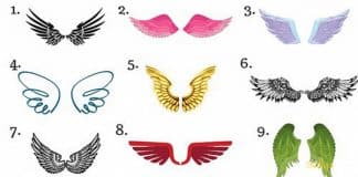 Diga de que asas você mais gosta e descubra que bênção foi enviada para você