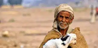 Quando estamos em paz, até a solidão se torna companheira