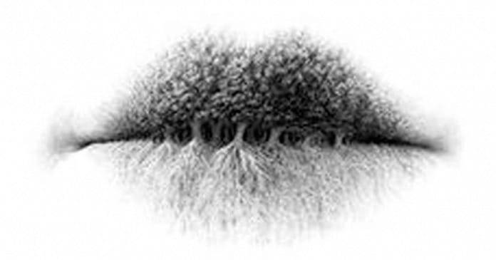 testepersonalidade-696×365