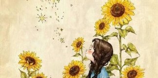 Preste atenção aos girassóis, que sempre buscam  a luz