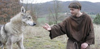 “Pedido” – Poema de Nara Ribeiro em homenagem a São Francisco de Assis