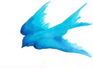 revistapazes.com - "Por esta noite", crônica de um juiz que tenta acalmar o "pássaro azul" dentro de si