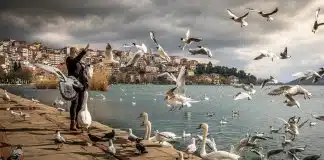 “É assim que acontece a bondade” – uma belíssima crônica de Rubem Alves