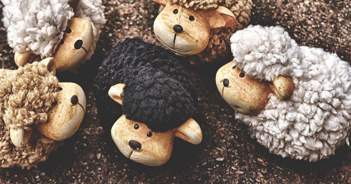 the-black-sheep-3702973_1280