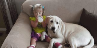 A história de Sadie: a menina com síndrome de Down e o seu cão guardião