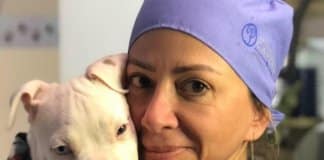 Veterinária de Santa Catarina chega a  Brumadinho com medicamentos doados