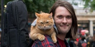 Um gato de rua chamado Bob: a força do amor que cura e salva