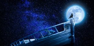 “Espere sua alma chegar até você” – bela história africana