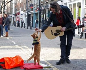 revistapazes.com - Um gato de rua chamado Bob: a força do amor que cura e salva