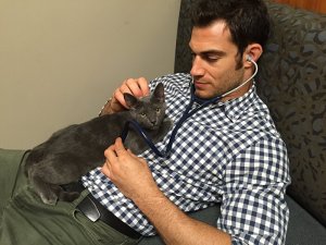revistapazes.com - Clínica veterinária abriu vaga de emprego para “abraçador de gatos”