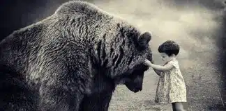 “Compreender que há outros pontos de vista é o início da sabedoria”