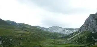 O verdadeiro patrimônio: um texto sobre o que realmente importa